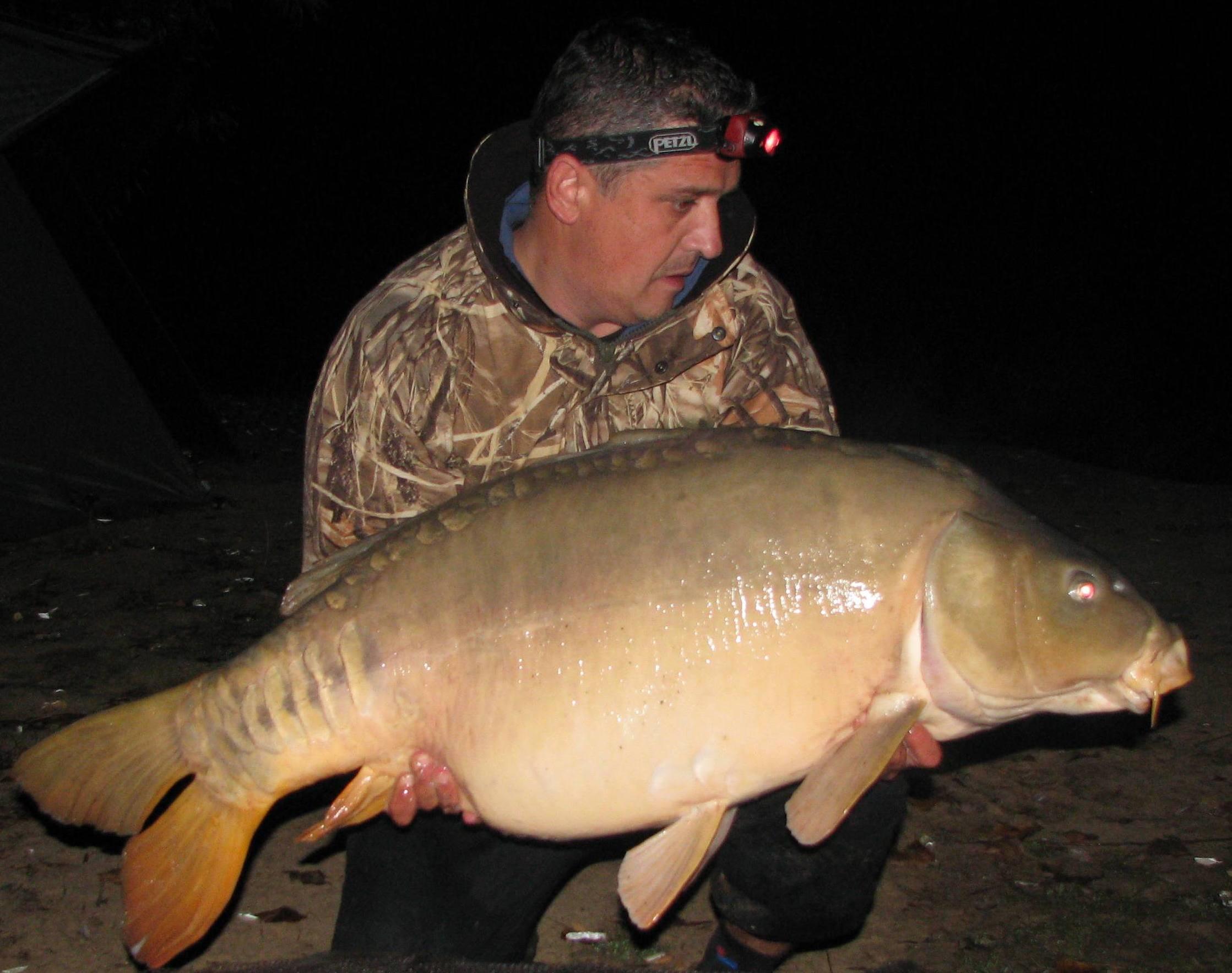 septembrie - octombrie 2012